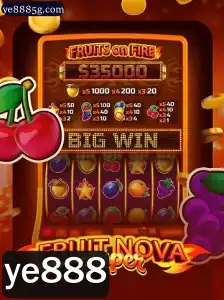 Explorando o Fascinante Mundo de FruitNovaSuper: Seu Guia Completo