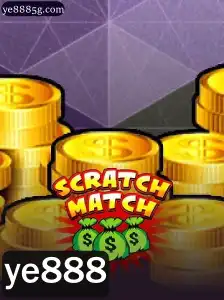 Descobrindo o Fascinante Mundo de ScratchMatch